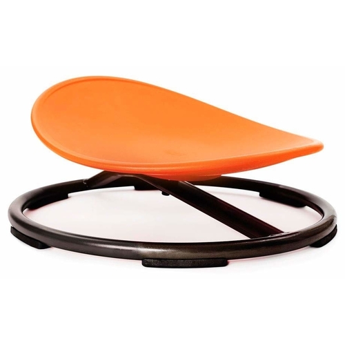 sensory sit and spinning disk